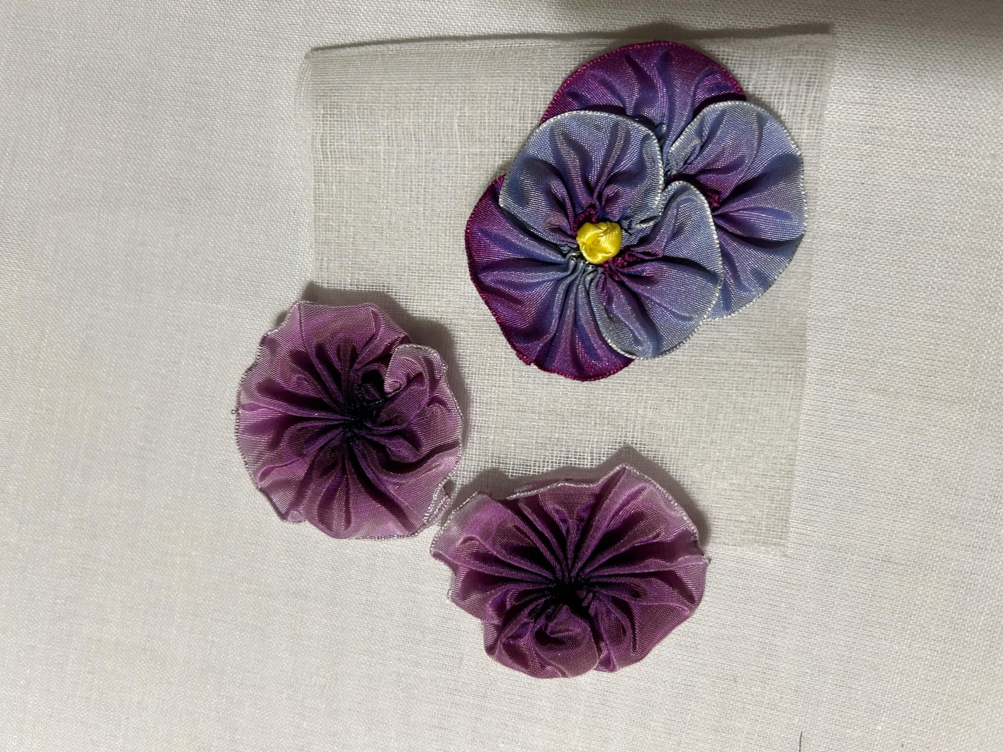 Floribunda Floribunda